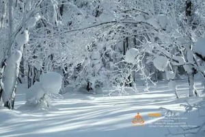 2026年1月10日生菜顶子-高台庙登山