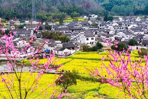 2026年3月17号到26号上海、西塘古镇，黄山，庐山，乌镇，三清山，望仙谷，婺源篁岭油菜花海、景德镇，婺源江铃油菜花海