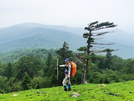2026年7月11日天桥岗环线登山采蘑菇