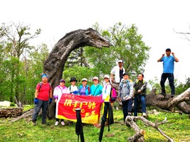2026年5月16日冰湖沟-天桥岗-大库山环线登山采菜