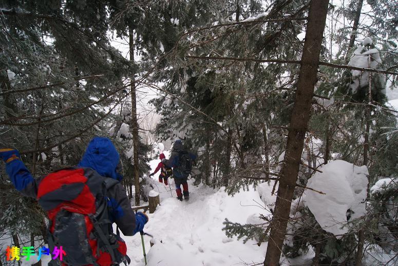 DSC03791.JPG DSC03791.JPG