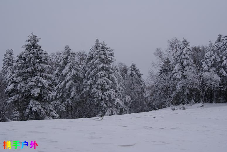 DSC02627.JPG DSC02627.JPG