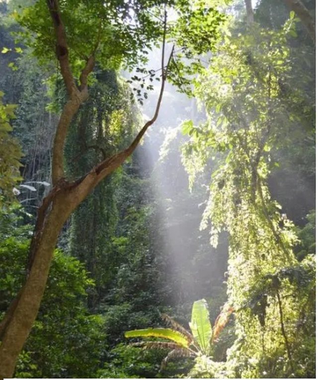 爱游宝|图文编辑更简单