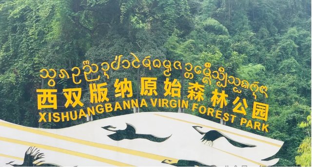 爱游宝|图文编辑更简单