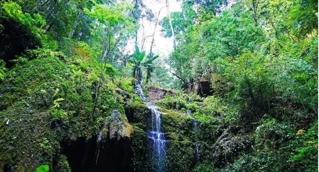 爱游宝|图文编辑更简单