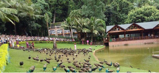 爱游宝|图文编辑更简单