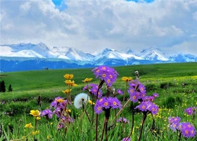 2026年7月3号到13号新疆伊犁草原+独库公路+伊昭公路+薰衣草+夏塔古道+琼库神台11天全景深度游 