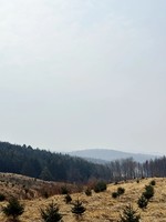 2026年3月1号休闲登山休闲徒步〈左家一土门岭一马鞍山—羊村