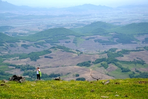 2026年8月8号东土山高山草原美拍，偶遇玉皇蘑菇。