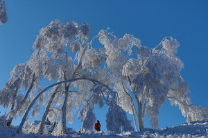 2026年3月1日鹿角沟-大库山环穿