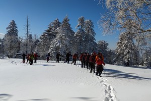 2026年新年首攀-南楼山登山穿越