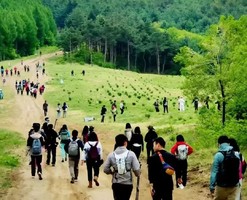 2026年3月15日左家-土们岭-大石顶子-左家水库环线徒步登山赏冰凌花