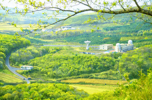 2026年4月4日大绥河三旺山-天文台徒步登山挖野菜赏冰凌花