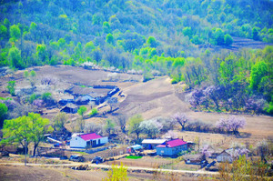 2026年4月11日北大湖林果小镇徒步挖菜摄影踏青