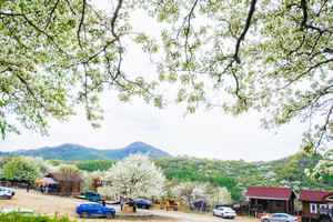2026年5月2日马鞍山贡梨园赏梨花摄影采菜一日游