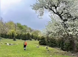 2026年5月9日蛟河西大坡-东塔子登山采野菜