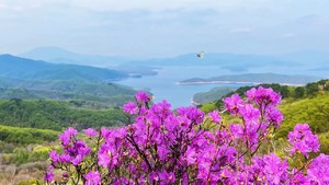 2026年5月17日大石三清宫-老牛背-麒麟崖-三道沟环线登山观湖采野菜