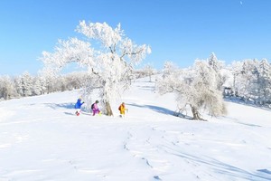 2025年11月29日大美天桥岗登山