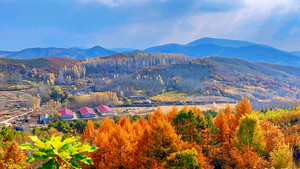 2026年10月31号 永吉老虎尖山-水库西山-半截沟-四间水库登山捡蚕蛹寻冻蘑