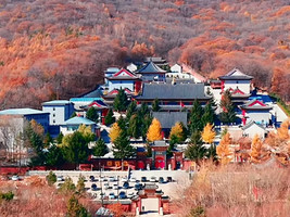 2026年2月8日（周日）马市大集+万德寺吃斋饭+烟筒砬子-杜鹃岭-炮台沟环线登山