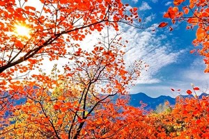 三四六日发团*【周末|1日】喇叭沟门 | 穿越原始森林-走进五彩斑斓童话世界-探寻北京最美秋色