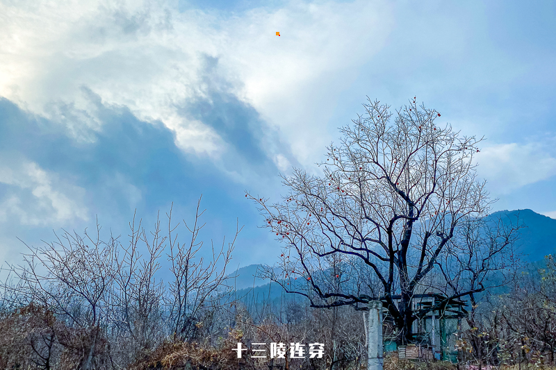 1645330972122694.jpg 微信图片_2020112117135720.jpg