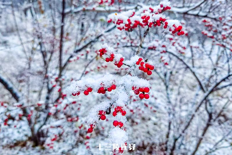 1645330973166054.jpg 微信图片_202011211723598.jpg