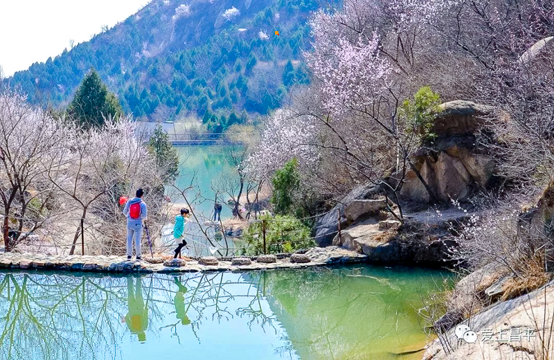 1647190207386360.jpg 微信图片_202203140045511.jpg