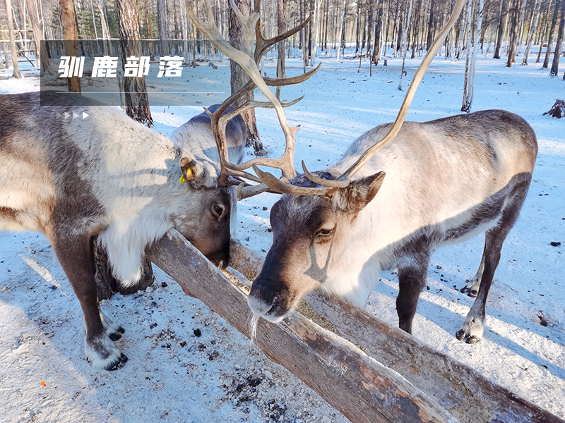 1671028456734372.jpg ★印象细图G8.jpg