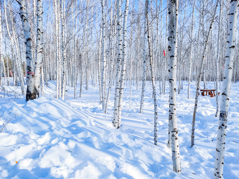 1671028701729107.jpg TLqWdEwP_8fPK.jpg