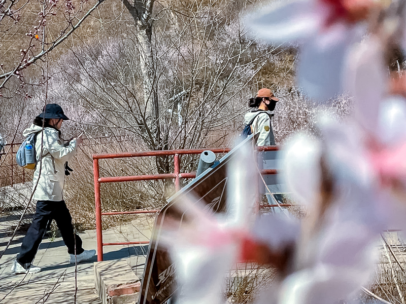 万桑古道完美收官 下一站 穿天门 赏花 探洞_1_荧火_来自小红书网页版.jpg