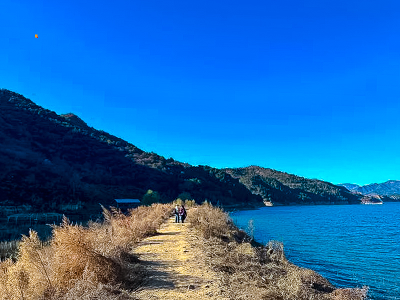 w700d1q75cms (1).jpg