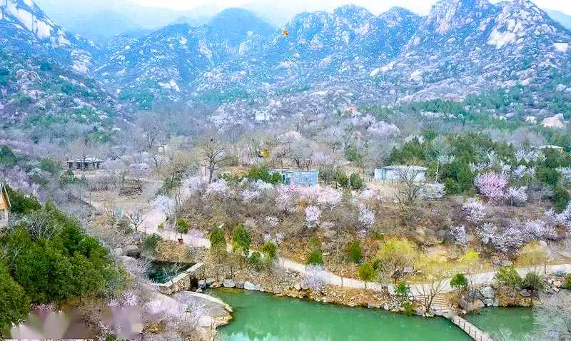 1647190206985728.jpg 微信图片_20220314004551.jpg