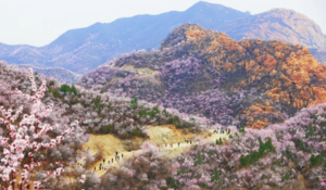 特价68*【周末|1日】凤凰岭白虎涧 | 北京版桃花岛の凤凰岭-白虎涧后花园10公里穿越<初级>（三六日发团）