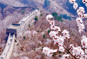 特价68*【周末|1日】鹞子峪 | 休闲登山赏桃花-鹞子峪-撞道口长城环线10公里<初级>