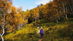 三六日发团*【周末|1日】北灵山｜北京驴友后花园の屋顶山脊-高山草甸-塔儿寺10km环穿<初级>