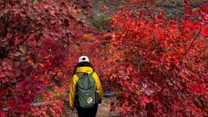 三六日发团*【周末|1日】舞彩浅山｜北京著名赏秋打卡圣地の休闲穿越-别致山景-小众原生态 