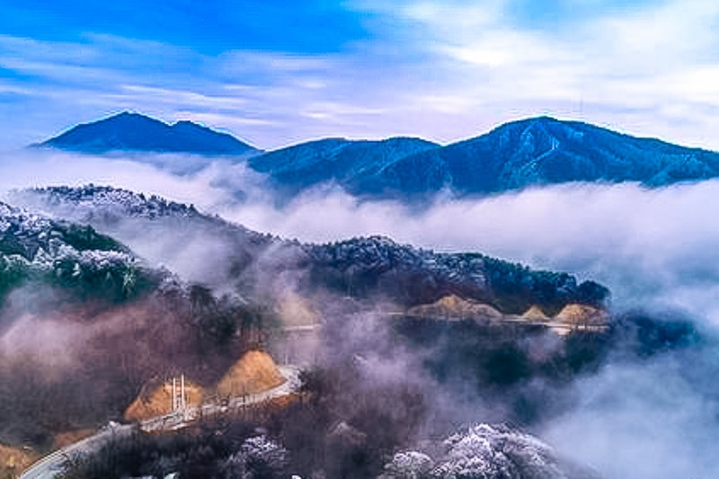 大别山秘境麻城杜鹃马鬃岭天堂寨黄鹤楼长江大桥休闲5日游全程纯玩无