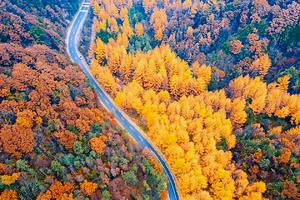 『 秦岭秋色丨圭峰红叶一日 』