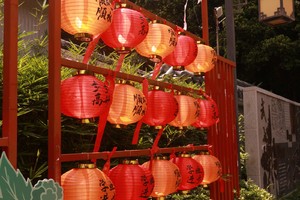 小孩元旦研学活动