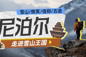 测试活动