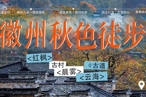 测试活动2