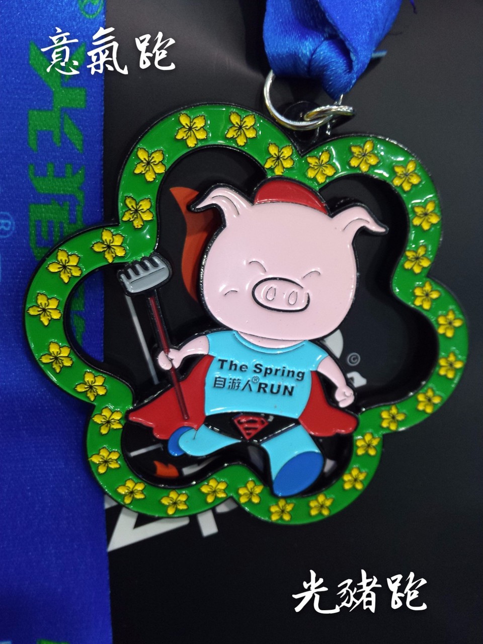 IMG_20170318_140516R_mh1489817619526