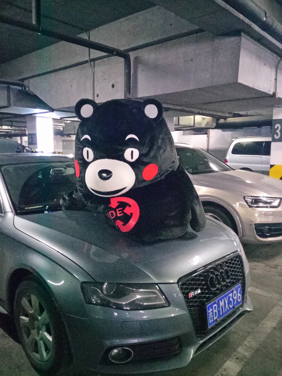 IMG_20170318_142010R