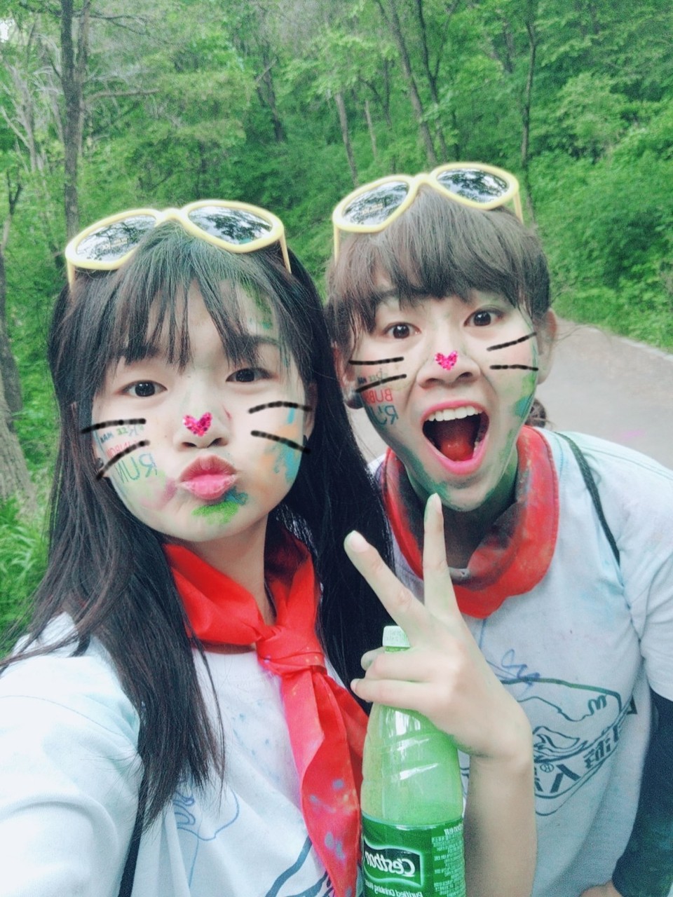 mmexport1496212550856