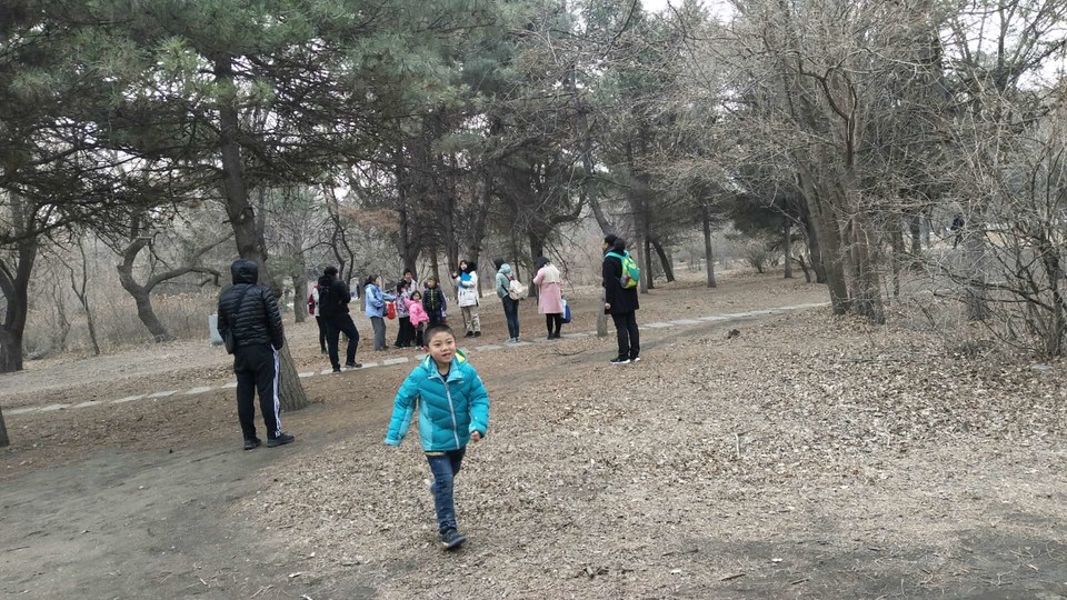 YFTgdi4sXW8jQQ2OLt8eXDqSalMEImMJV1xTSmPb3mfflPp-1KZbcv8_r8kP712g