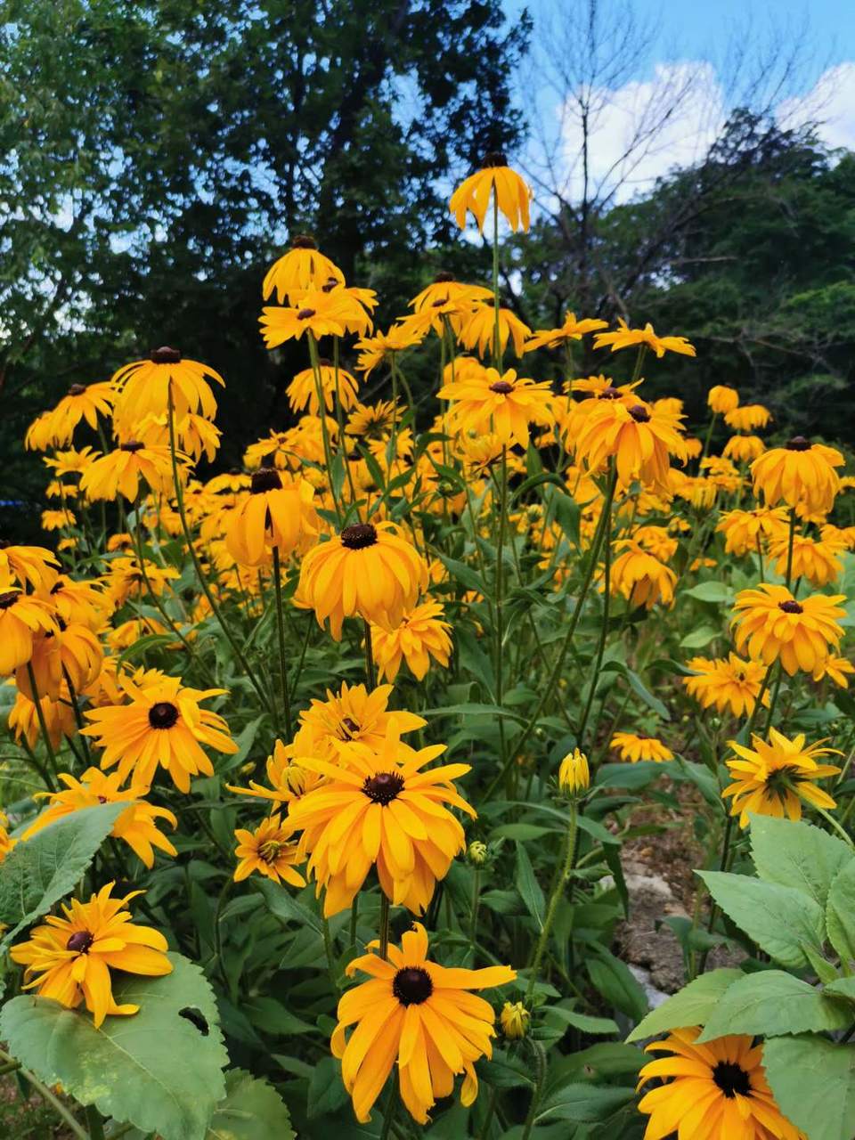 dpo6eybrAuAdbK_c6ex41b3aHE-pJHfBtv6cdzczgnmoqvgAI-uQUkhT5xcK0LDe