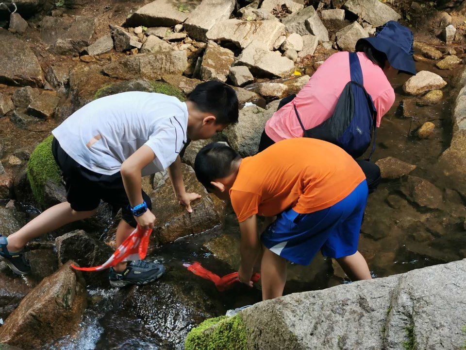 dpo6eybrAuAdbK_c6ex41WnLz_OpAAk5aaPjmCpd86geqVj3qI4nVMiIKcR4a9kf