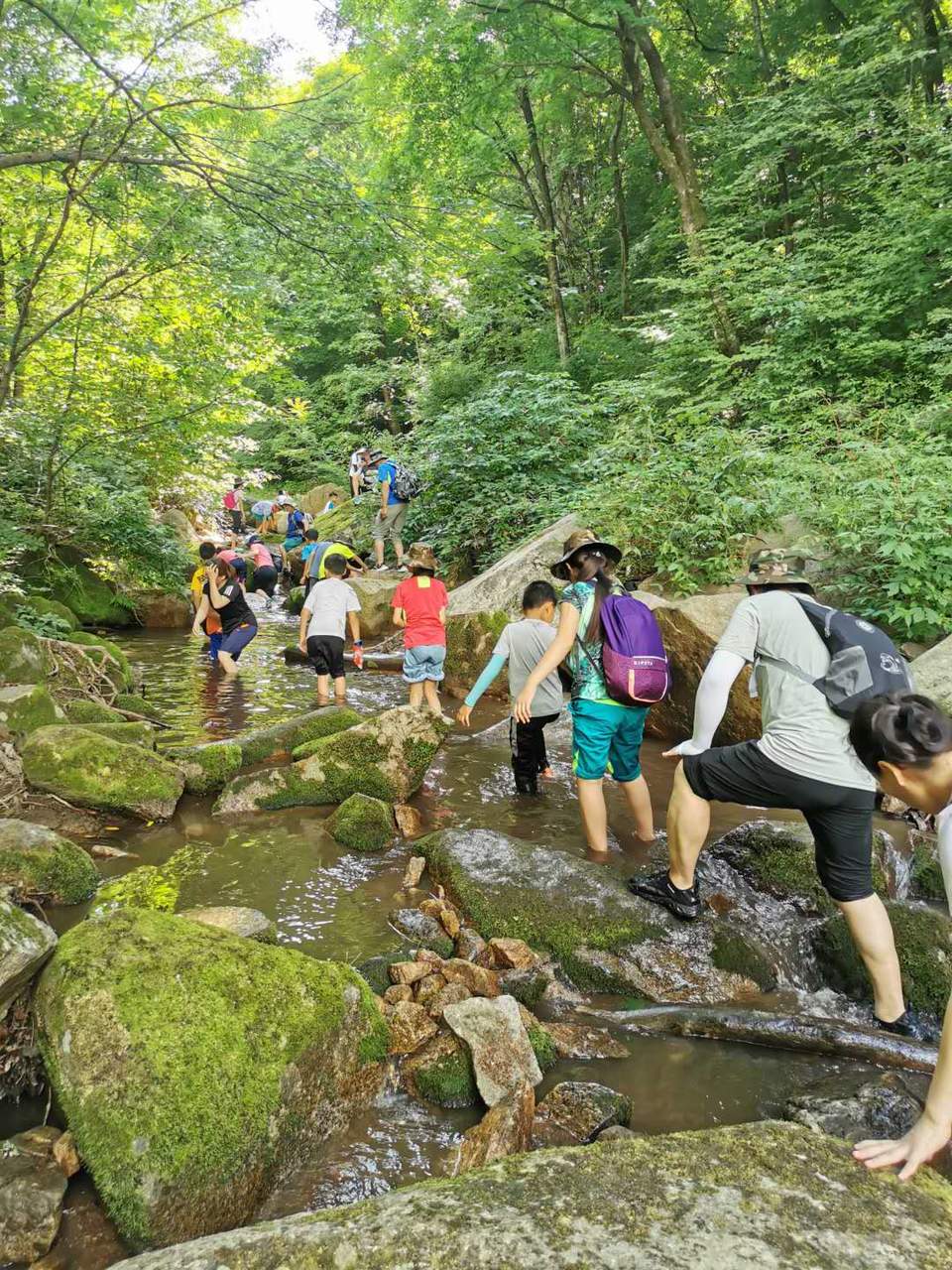 dpo6eybrAuAdbK_c6ex41evruE44bAmUHprNUuvxVeMlub6cYa8k1yqF3TrKY3MP