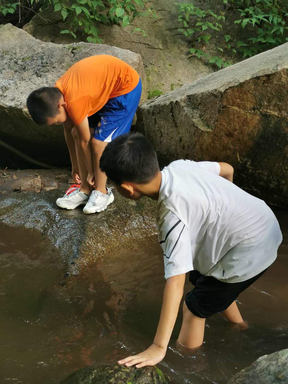 dpo6eybrAuAdbK_c6ex41aSHZ_2tbP0Hs_IjyhNpUhphoZKJr5H7h3QtGvux94DF